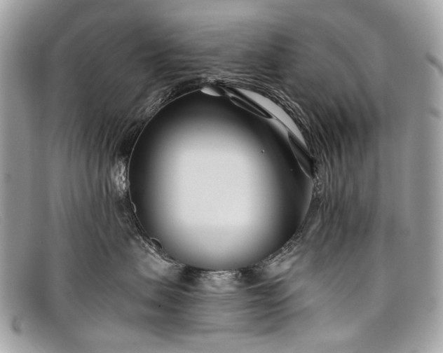 X0000098030479200804111326