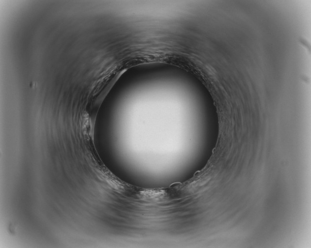 X0000098030480200804111326