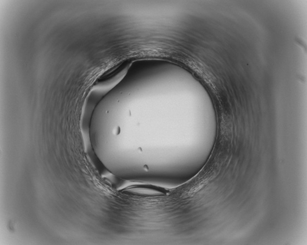 X0000098030481200804111325