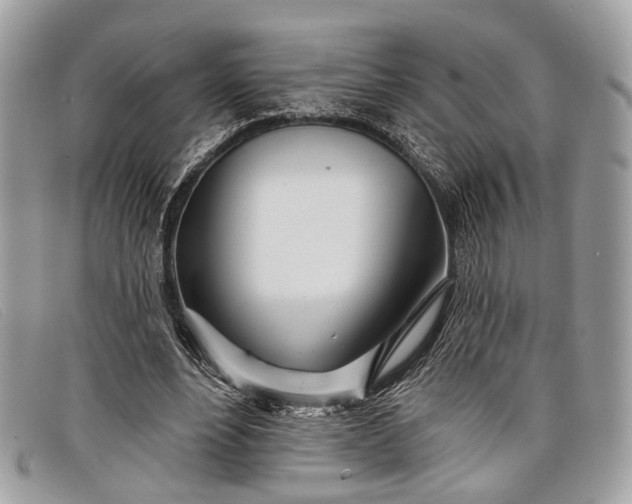 X0000098030488200804111325