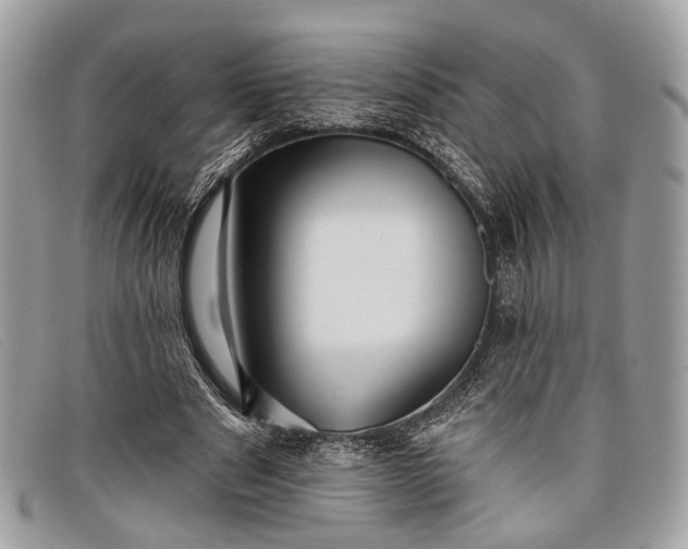 X0000098030489200804111325