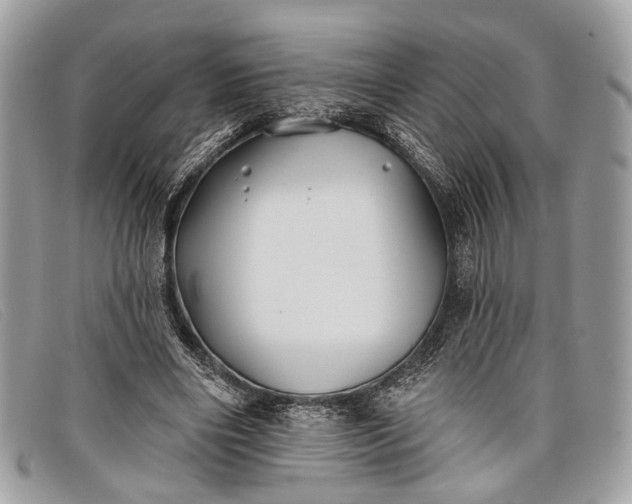 X0000098030490200804111325