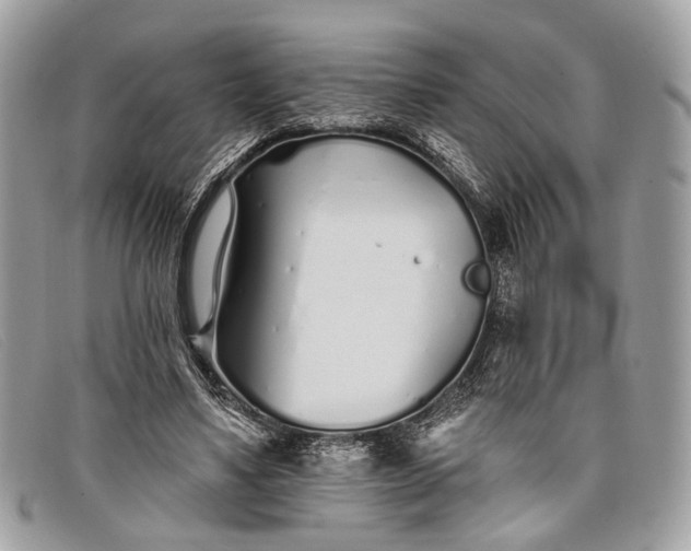 X0000098030491200804111325