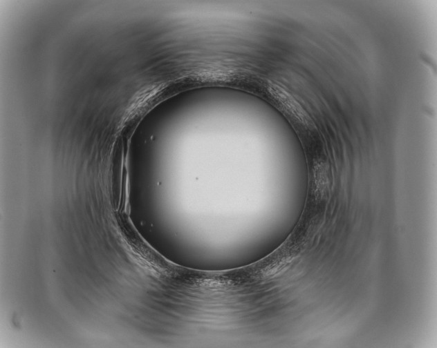 X0000098030494200804111325