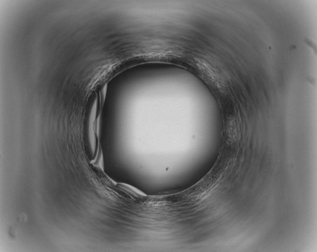 X0000098030495200804111325