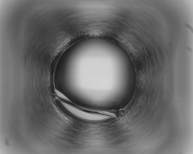 X0000098030496200804111325