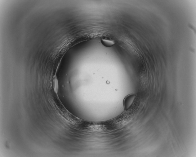 X0000098030499200804111325