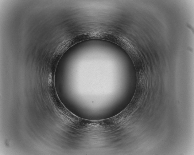 X0000098030502200804111325