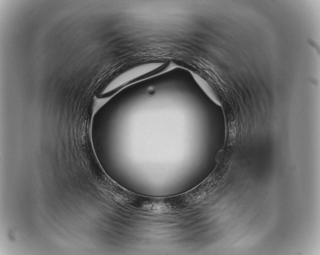 X0000098030503200804111325