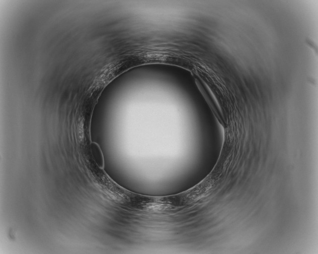 X0000098030504200804111325