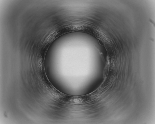 X0000098030506200804111325