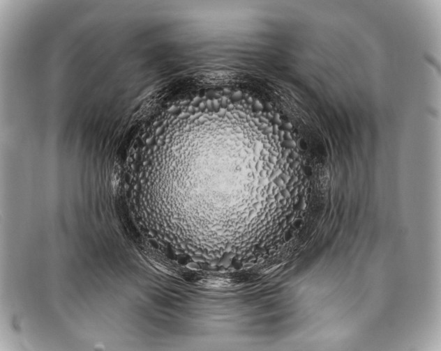 X0000098030507200804111325