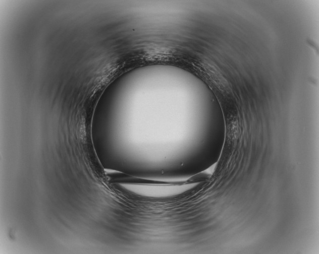 X0000098030508200804111325