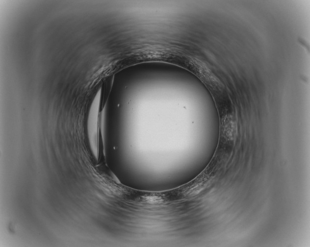 X0000098030509200804111325