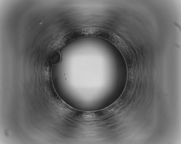 X0000098030510200804111325