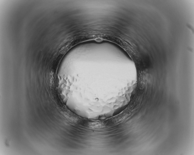 X0000098030511200804111325