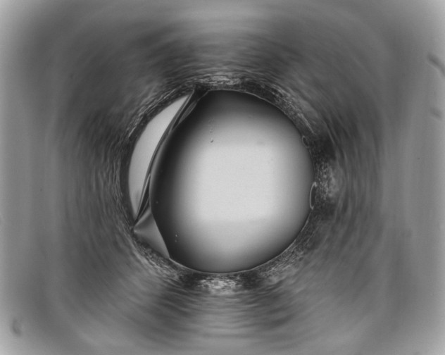 X0000098030512200804111325