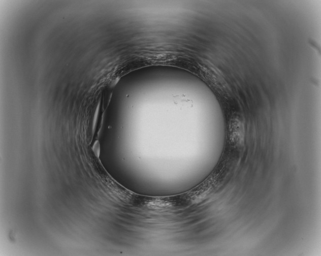 X0000098030515200804111325