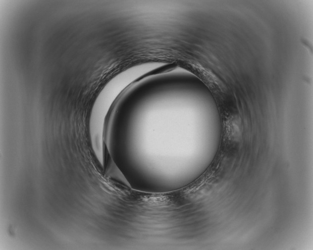 X0000098030517200804111325