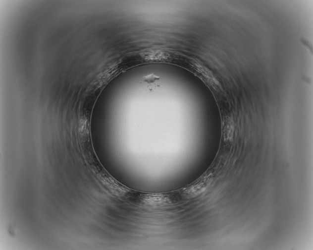 X0000098030521200804111325