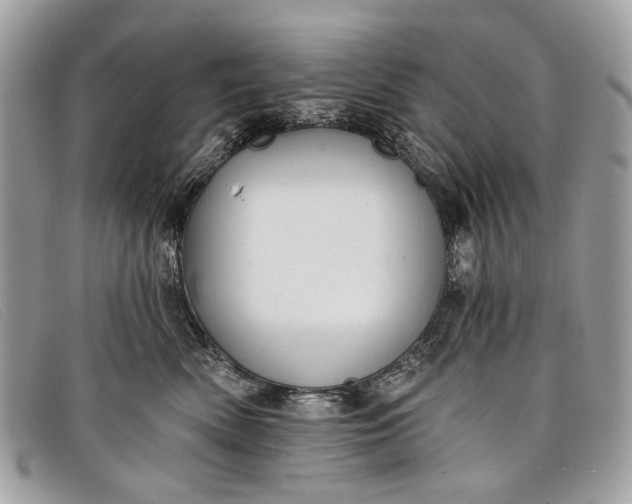 X0000098030522200804111325