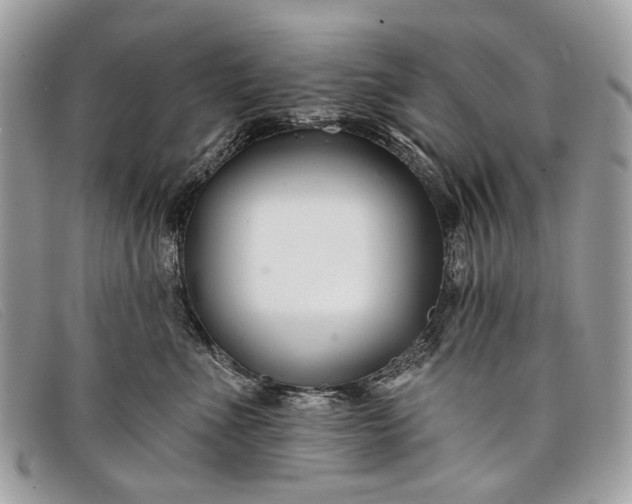 X0000098030523200804111325