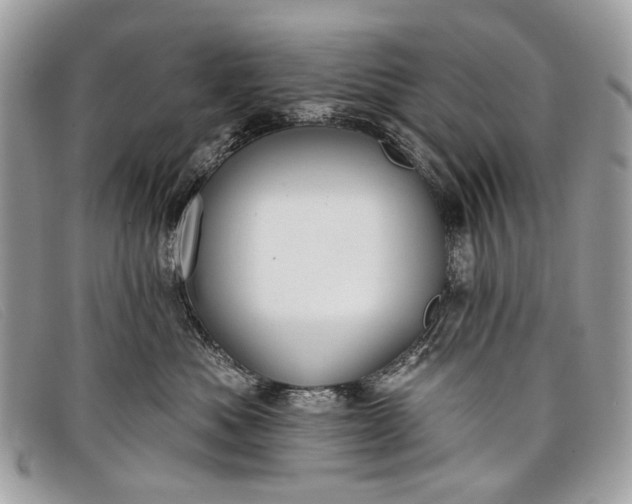 X0000098030525200804111325