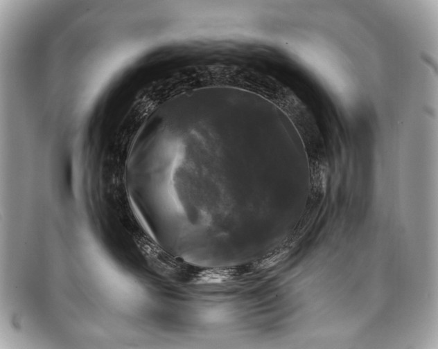 X0000098030526200804111325