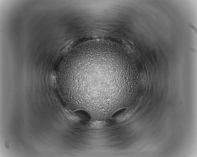 X0000098030527200804111325