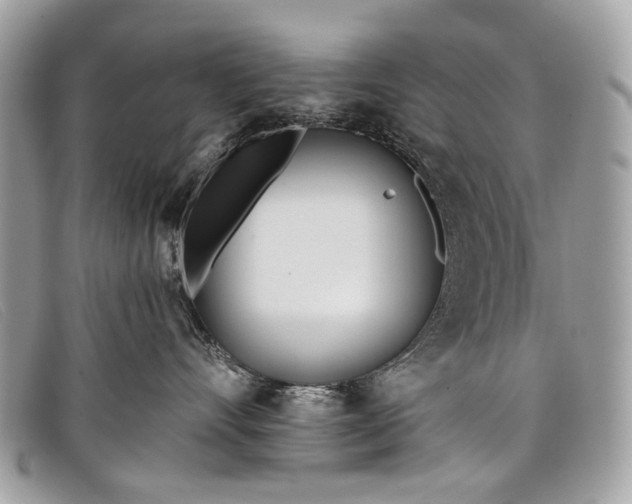 X0000098030528200804111325