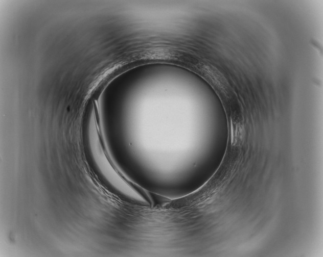 X0000098030531200804111324