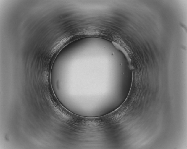 X0000098030533200804111324