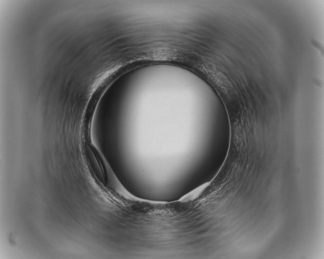 X0000098030536200804111324