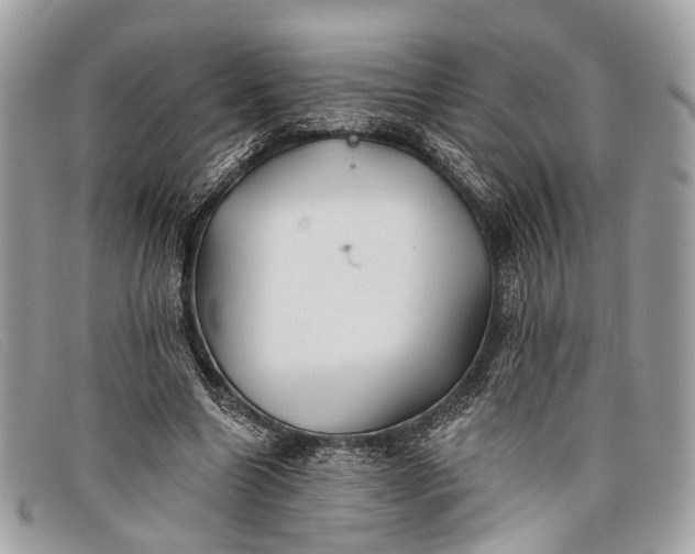 X0000098030538200804111324