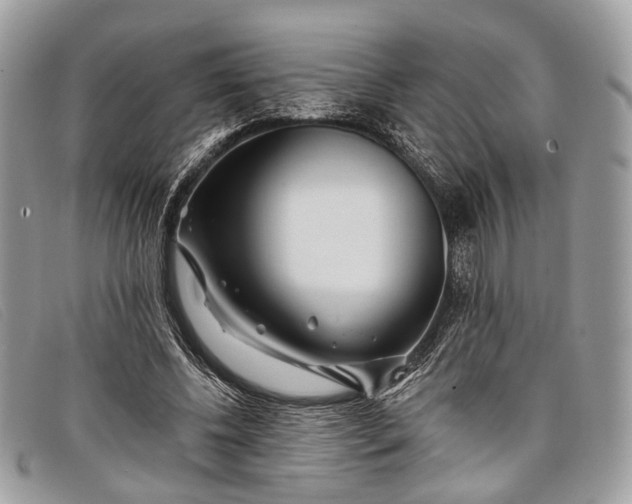 X0000098030540200804111324