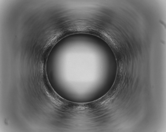 X0000098030542200804111324