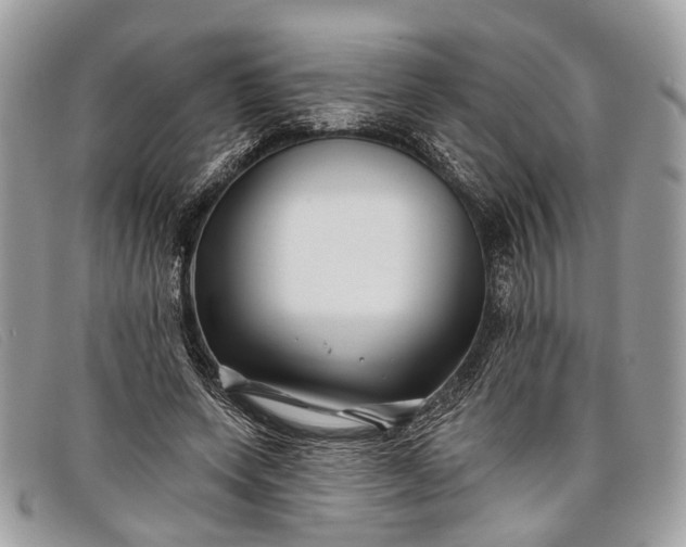 X0000098030543200804111324