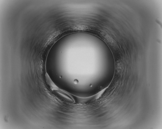 X0000098030544200804111324