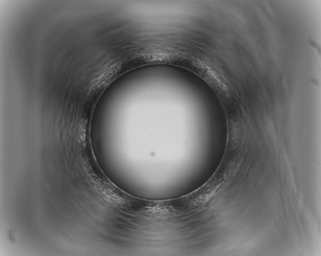 X0000098030545200804111324