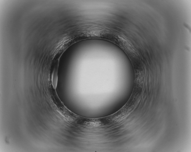 X0000098030548200804111324