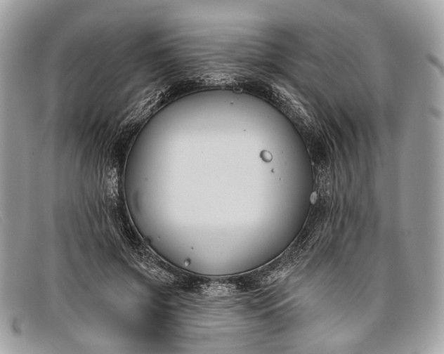 X0000098030549200804111324