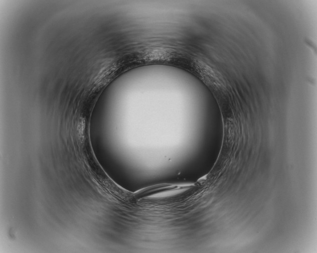 X0000098030550200804111324