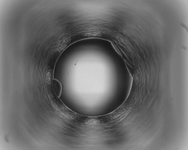 X0000098030551200804111324