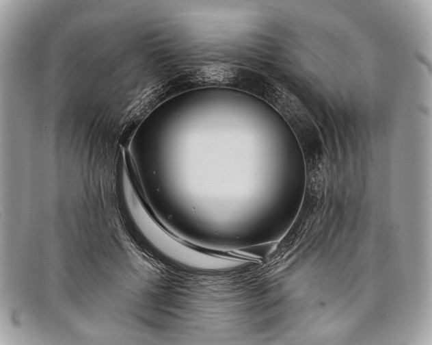 X0000098030552200804111324