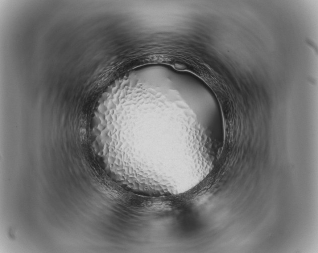 X0000098030553200804111324