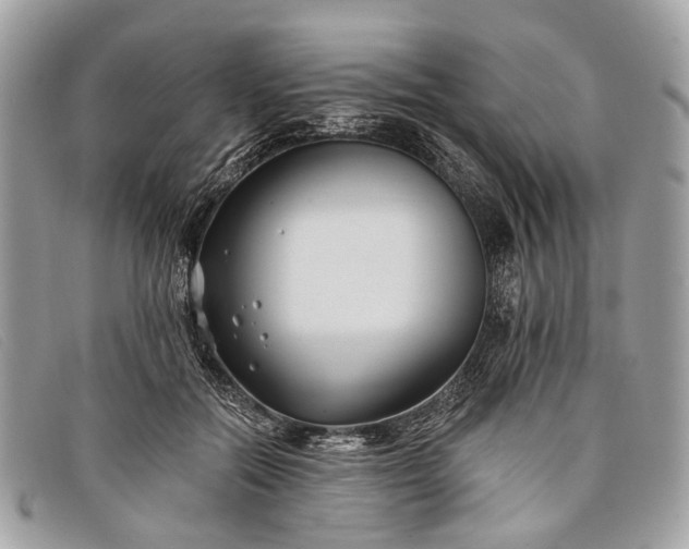 X0000098030554200804111324