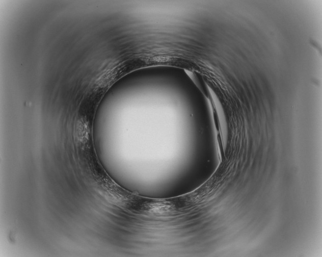 X0000098030555200804111324