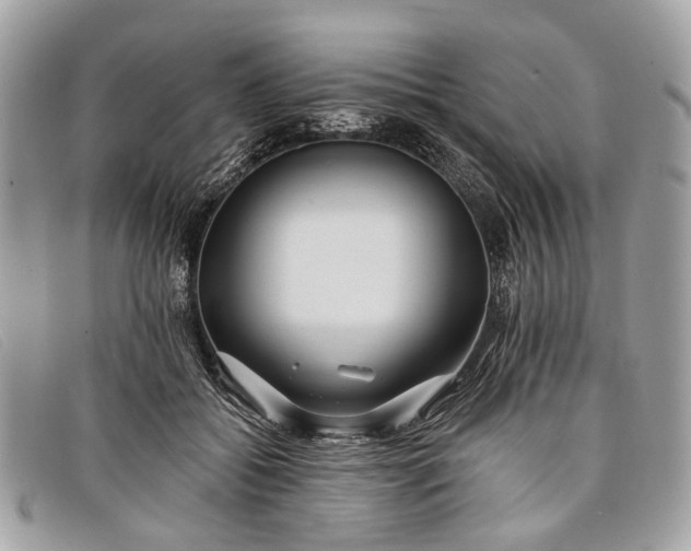 X0000098030556200804111324