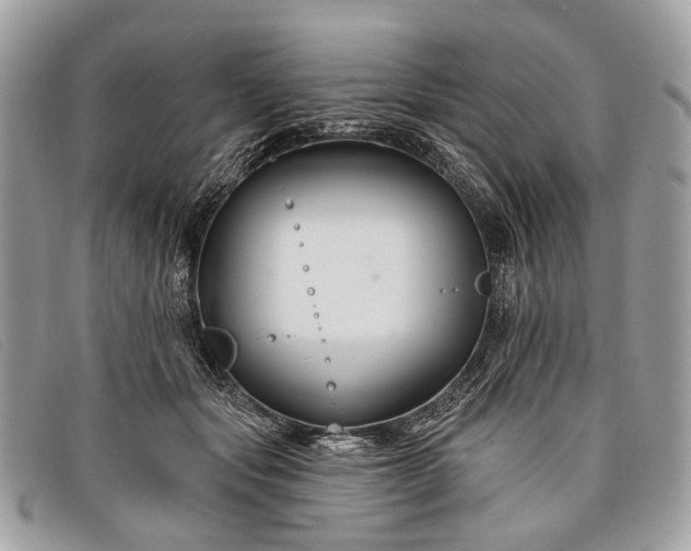 X0000098030557200804111324