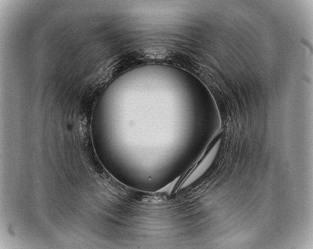 X0000098030559200804111324